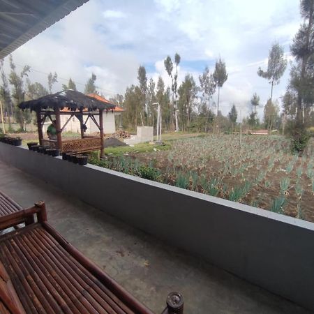 Elen Homestay By Abm Bromo Exterior foto