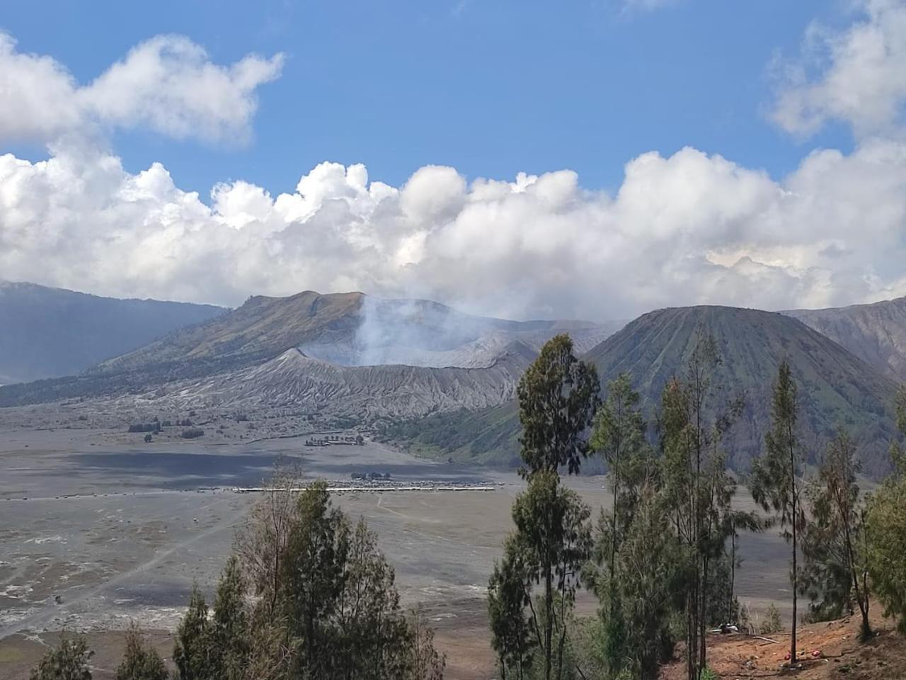 Elen Homestay By Abm Bromo Exterior foto